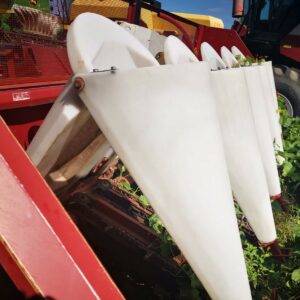 IMG_20210819_104109 IMG_20210819_104109