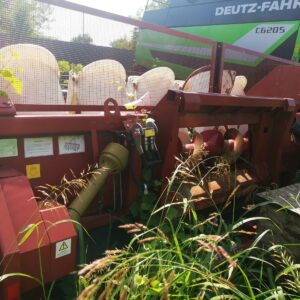 IMG_20210819_104255 IMG_20210819_104255