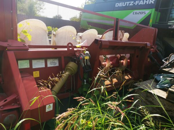 IMG_20210819_104255 IMG_20210819_104255