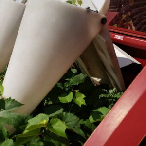 IMG_20210819_104304 IMG_20210819_104304