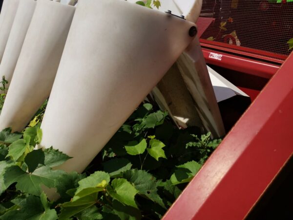 IMG_20210819_104304 IMG_20210819_104304