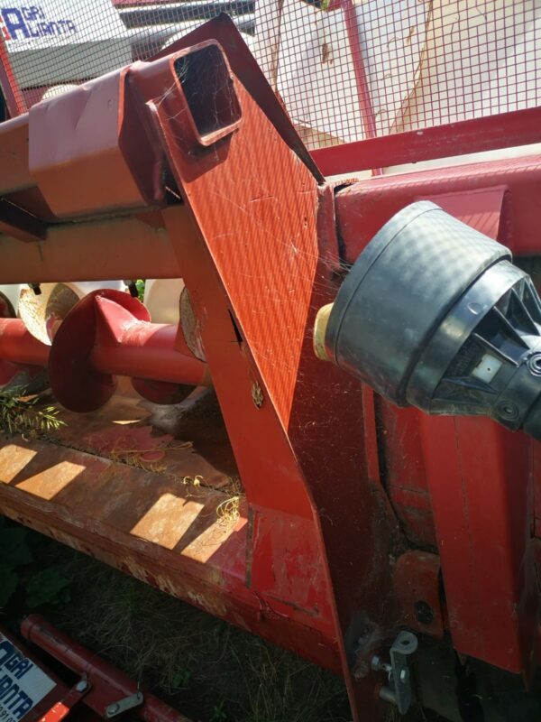 IMG_20210819_104733 IMG_20210819_104733